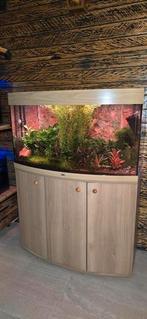 Te koop aquarium JUWEL VISION 180 zonder inhoud., Dieren en Toebehoren, Ophalen, Zo goed als nieuw, Leeg aquarium