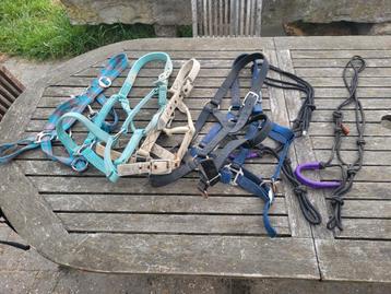 7 halsters maat full waarvan 2 touwhalstes beschikbaar voor biedingen