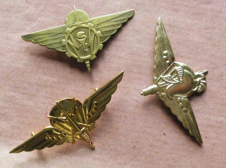 Insignes de béret de feue la brigade para belge années 70/80, Verzamelen, Militaria | Algemeen, Landmacht, Embleem of Badge, Verzenden