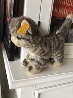 Oude Steiff poes met knopje, Ophalen of Verzenden