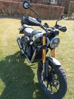 Triumph Scrambler 400x, Particulier