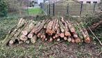 Brandhout kers op stam 3m Heusden zolder, Ophalen of Verzenden