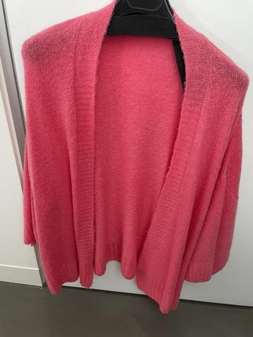 Roze gilet maat onesize van GIKS, in perfecte staat! Heel we beschikbaar voor biedingen