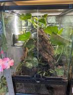 Exo terra terrarium ingericht 30x30x45cm, Dieren en Toebehoren, Ophalen, Zo goed als nieuw