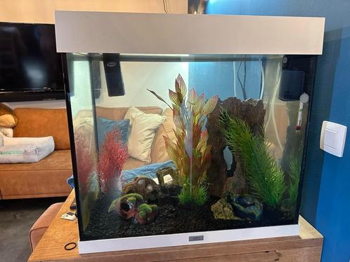 Aquarium, Dieren en Toebehoren, Vissen | Aquaria en Toebehoren, Zo goed als nieuw, Leeg aquarium, Ophalen