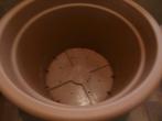 Grote pot voor planten of bomen, Ophalen, Kunststof, Gebruikt, Tuin