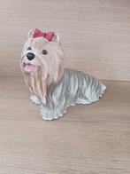 Yorkshire Terrier hond beeld, Ophalen of Verzenden, Zo goed als nieuw