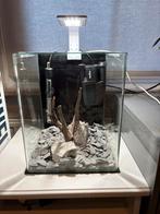 Volledig aquarium, Ophalen, Zo goed als nieuw, Leeg aquarium