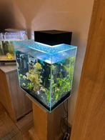 Aquarium fluval Edge, Dieren en Toebehoren, Ophalen, Zo goed als nieuw