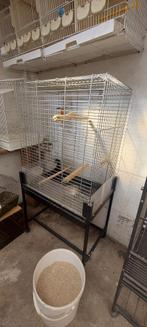 Papegaaienkooi, Dieren en Toebehoren, Ophalen