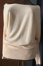 Caroline Biss 40 Trendy truitje met fantasie, Kleding | Dames, Maat 38/40 (M), Overige kleuren, Ophalen of Verzenden, Gedragen