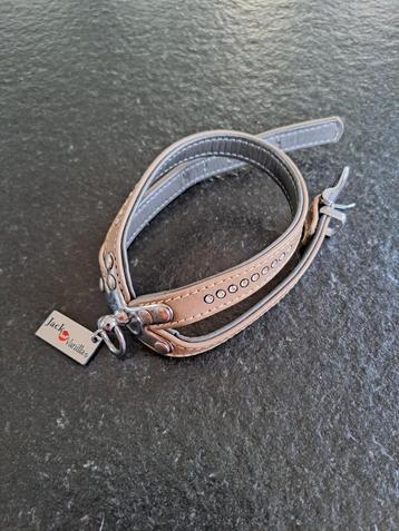Gratis halsband chiwawa beschikbaar voor biedingen