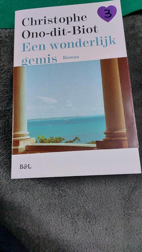 Christophe Ono-Dit-Biot - Een wonderlijk gemis, Boeken, Literatuur, Zo goed als nieuw, Ophalen