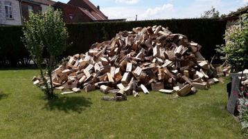 6 steres a vendre melange buches beschikbaar voor biedingen