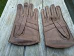 Nieuwe Donkerbruine Nappa Handschoenen, Kleding | Dames, Mutsen, Sjaals en Handschoenen, Ophalen of Verzenden, Nieuw, Handschoenen