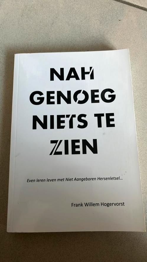 Frank Willem Hogervorst - NAHgenoeg niets te zien, Boeken, Overige Boeken, Zo goed als nieuw, Ophalen