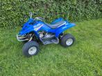 Yamaha yfm 50 raptor kinderquad automaat.