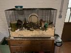 Hamster kooi met toebehoren, Ophalen, Kooi, 60 tot 90 cm, Hamster