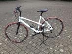 Koga Sportslady race/sport/fitness fiets nwpr 1399 euro, Versnellingen, Zo goed als nieuw, Verzenden