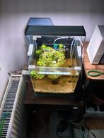 Aquarium denerle 30 litre