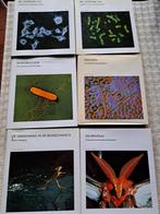 6 boeken natuur en wetenschap, Comme neuf, Enlèvement ou Envoi, Sciences naturelles