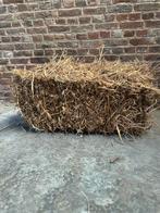 Kleine Balen Stro, Dieren en Toebehoren, Dierenvoeding, Ophalen