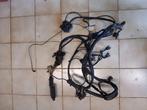 BMW e28 e30 6 cylindres 2 l câblage complet injection/ allu, Ophalen, Gebruikt, BMW