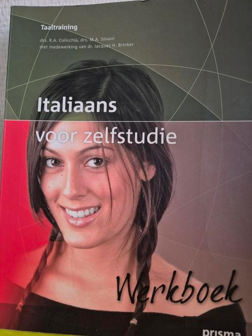 Marco drs Silvani - Werkboek, Boeken, Taal | Overige Talen, Zo goed als nieuw, Ophalen