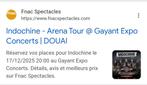 2 places pour Indochine 17/12 a Douai, Tickets & Billets, Concerts | Autre