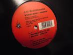 JD Braithwait : Everybody Knows 12”, Ophalen of Verzenden