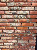 Gevelsteen Wienerberger Artiza Colorado, Doe-het-zelf en Bouw, Metselstenen, Ophalen, Nieuw, Bakstenen