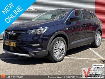 Opel Grandland X 1.2 Turbo Innovation | Cruise | Climate | N beschikbaar voor biedingen