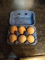 Poule œuf frais, Divers, Produits alimentaires, Enlèvement