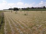 Grond te koop in Grimbergen, 1500 m² of meer