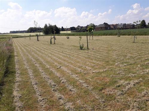 Grond te koop in Grimbergen, Immo, Gronden en Bouwgronden, 1500 m² of meer
