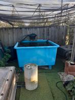 Quarantainebak of visbak of vijverbak, Ophalen, Vijverbak