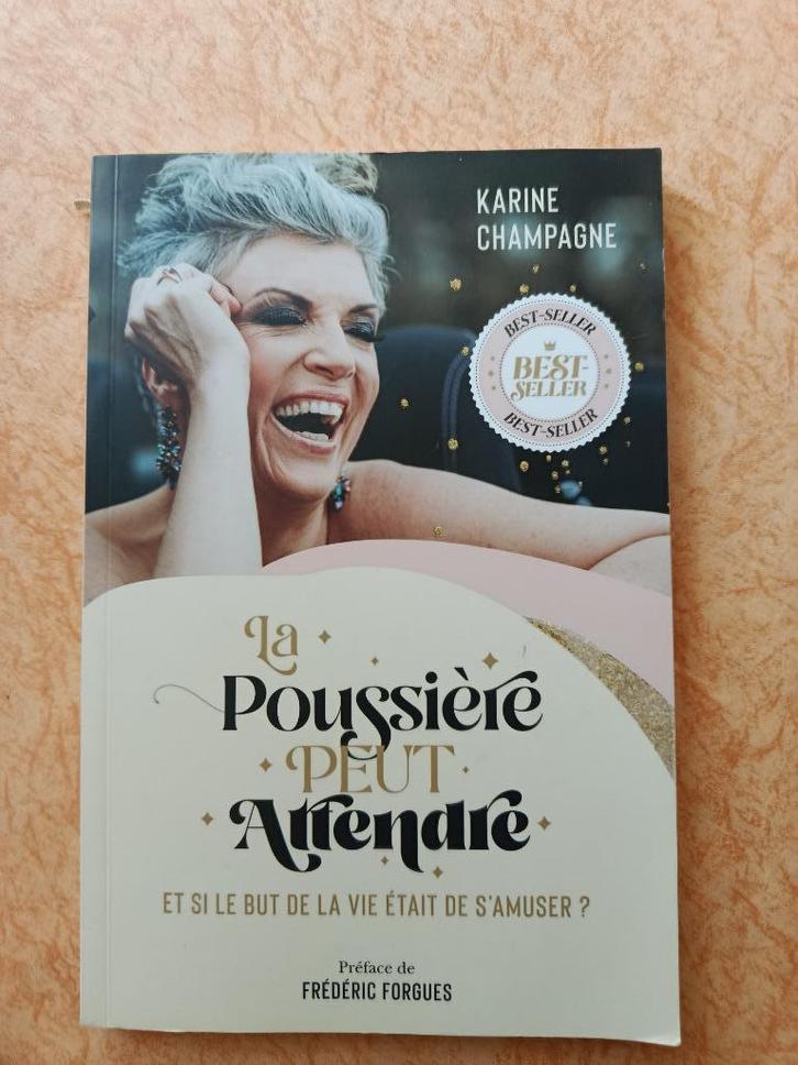 La Poussière Peut Attendre, Boeken, Overige Boeken, Zo goed als nieuw, Ophalen of Verzenden