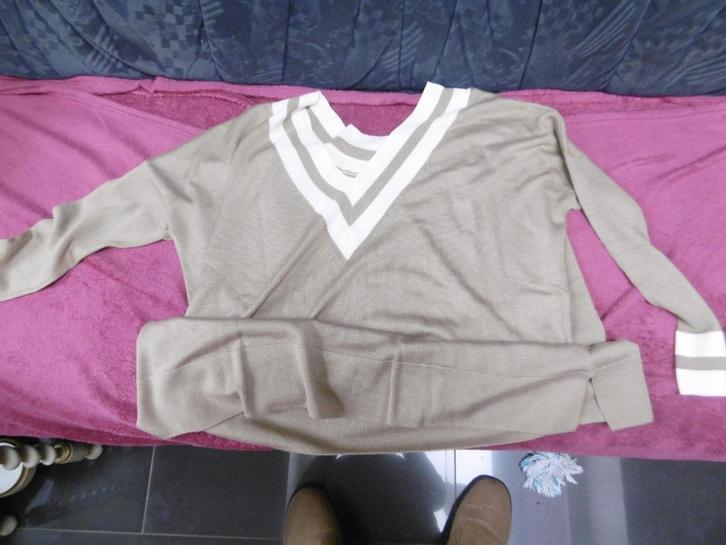 kledij dames trui "hotel particulier" S bruin, Kleding | Dames, Truien en Vesten, Zo goed als nieuw, Maat 36 (S), Bruin, Ophalen of Verzenden