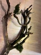 Talawa hout aquarium, Dieren en Toebehoren, Ophalen, Gebruikt