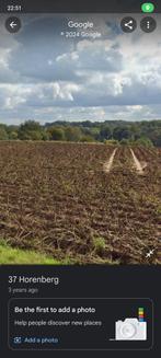 Prachtige grond 55a voor verhuur paardenweide Tervuren/Overi, Dieren en Toebehoren, Stalling en Weidegang