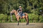 Paard pre ruin, Dieren en Toebehoren, Paarden, Ruin