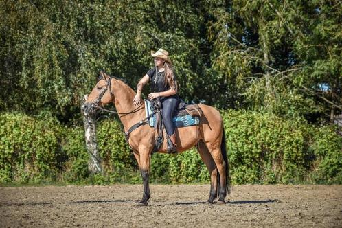 Paard pre ruin, Dieren en Toebehoren, Paarden, Ruin