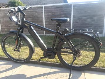 fietsen beschikbaar voor biedingen