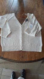 damespull  ZARA grote maat XL nieuw, Maat 46/48 (XL) of groter, Nieuw, Ophalen of Verzenden, Zara