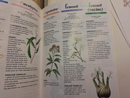 livre herbier botanique, Boeken, Schoolboeken, Gelezen, Biologie, VSO, Ophalen