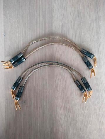 QED Airlock + câble Monitor Cobra argenté/jumpers