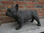 Betonnen Franse Bulldog, Ophalen