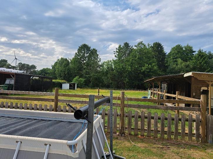 2 Pensioenstallen met 2 weides +schuilhok of weidegang 7/7, Dieren en Toebehoren, Stalling en Weidegang, Stalling, Weidegang