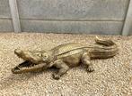 Krokodil old gold L150cm, Nieuw, Overige materialen, Ophalen, Dierenbeeld