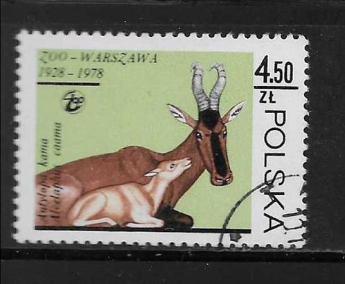 Polen 1978 - Afgestempeld - Lot Nr. 834 - Antiloop, Timbres & Monnaies, Timbres | Timbres thématiques, Affranchi, Animal et Nature